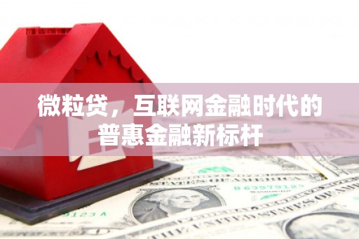 嘉祥微粒贷，互联网金融时代的普惠金融新标杆