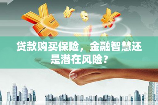 嘉祥贷款购买保险，金融智慧还是潜在风险？