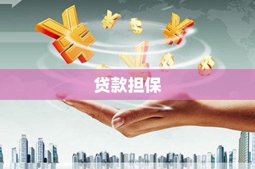 嘉祥贷款担保