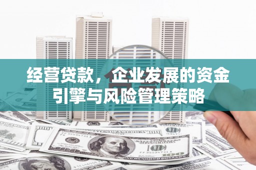嘉祥经营贷款，企业发展的资金引擎与风险管理策略