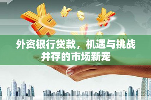 嘉祥外资银行贷款，机遇与挑战并存的市场新宠