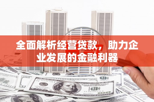 嘉祥全面解析经营贷款，助力企业发展的金融利器