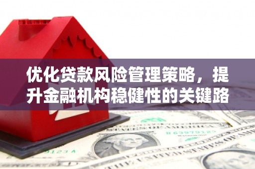嘉祥优化贷款风险管理策略，提升金融机构稳健性的关键路径