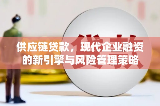 嘉祥供应链贷款，现代企业融资的新引擎与风险管理策略
