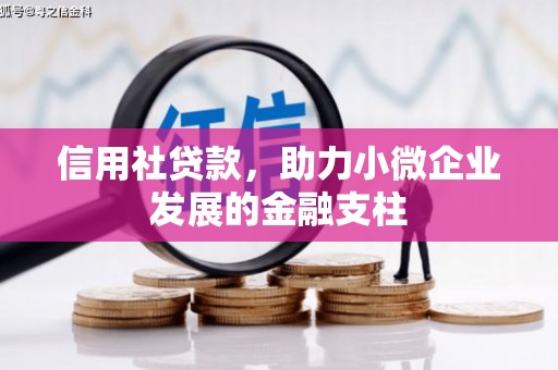 嘉祥信用社贷款，助力小微企业发展的金融支柱