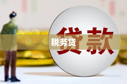 嘉祥税务贷