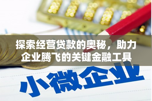 嘉祥探索经营贷款的奥秘，助力企业腾飞的关键金融工具