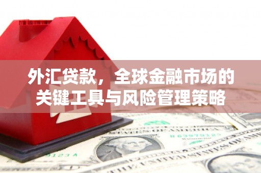 嘉祥外汇贷款，全球金融市场的关键工具与风险管理策略