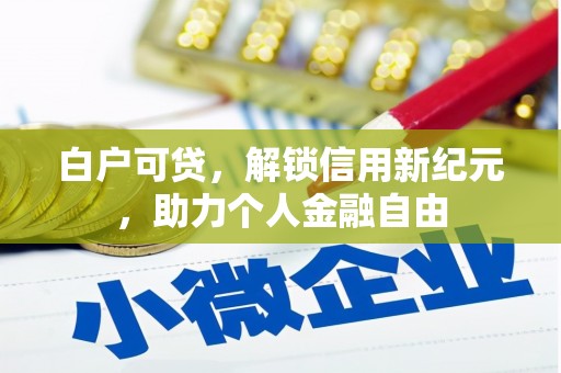 嘉祥白户可贷，解锁信用新纪元，助力个人金融自由