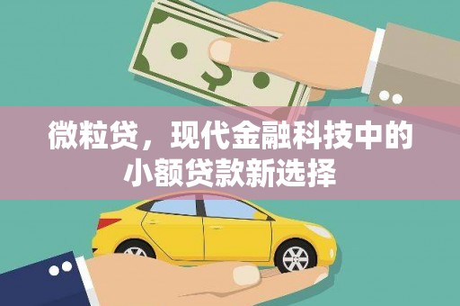 嘉祥微粒贷，现代金融科技中的小额贷款新选择