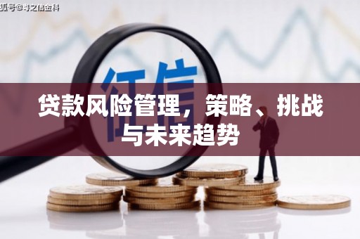 嘉祥贷款风险管理，策略、挑战与未来趋势