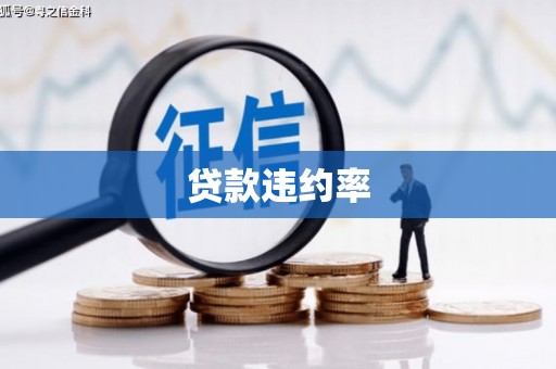 嘉祥贷款违约率