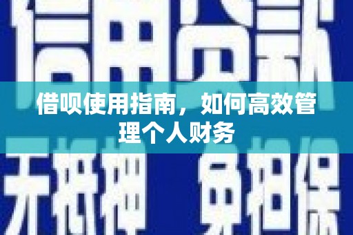 嘉祥借呗使用指南，如何高效管理个人财务