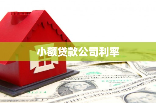 嘉祥小额贷款公司利率
