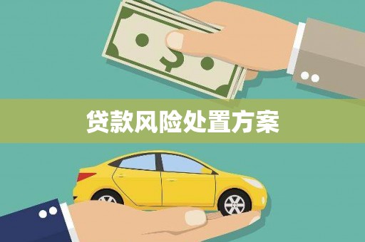 嘉祥贷款风险处置方案