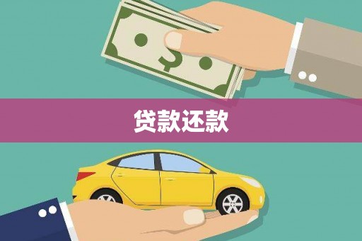 嘉祥贷款还款