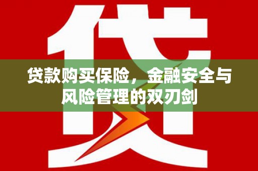 嘉祥贷款购买保险，金融安全与风险管理的双刃剑