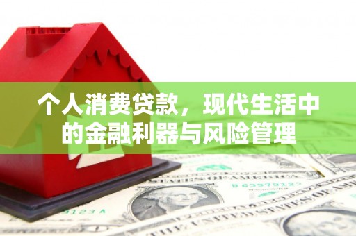 嘉祥个人消费贷款，现代生活中的金融利器与风险管理