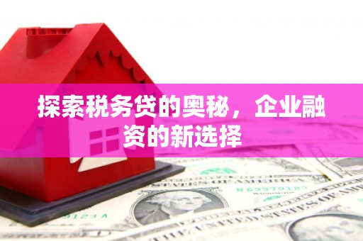 嘉祥探索税务贷的奥秘，企业融资的新选择