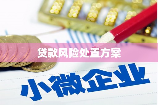 嘉祥贷款风险处置方案