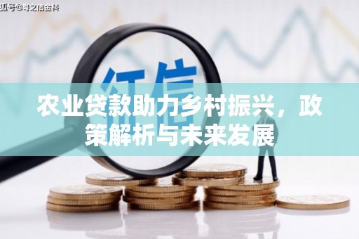 嘉祥农业贷款助力乡村振兴，政策解析与未来发展