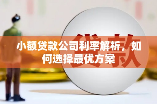 嘉祥小额贷款公司利率解析，如何选择最优方案