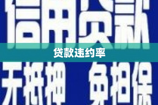 嘉祥贷款违约率
