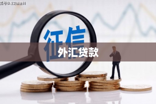 嘉祥外汇贷款