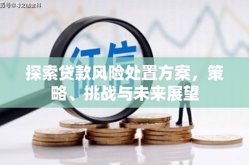 嘉祥探索贷款风险处置方案，策略、挑战与未来展望