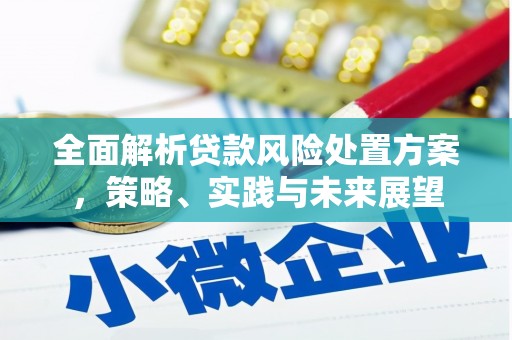 嘉祥全面解析贷款风险处置方案，策略、实践与未来展望