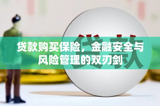 嘉祥贷款购买保险，金融安全与风险管理的双刃剑