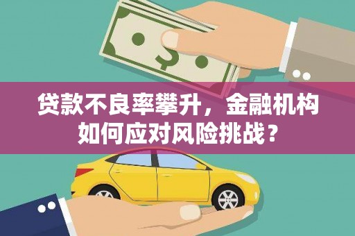 嘉祥贷款不良率攀升，金融机构如何应对风险挑战？