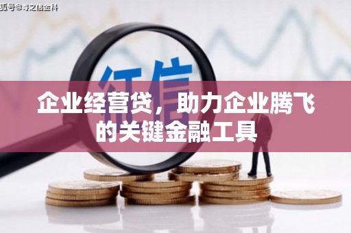 嘉祥企业经营贷，助力企业腾飞的关键金融工具
