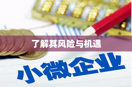嘉祥了解其风险与机遇