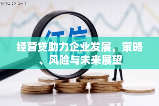 嘉祥经营贷助力企业发展，策略、风险与未来展望