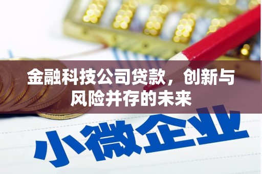 嘉祥金融科技公司贷款，创新与风险并存的未来