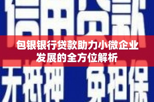 嘉祥包银银行贷款助力小微企业发展的全方位解析