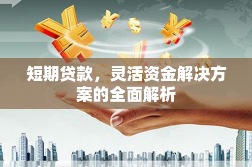 嘉祥短期贷款，灵活资金解决方案的全面解析