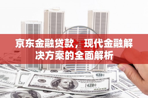 嘉祥京东金融贷款，现代金融解决方案的全面解析