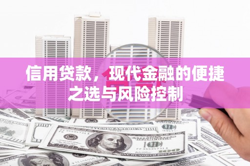 嘉祥信用贷款，现代金融的便捷之选与风险控制