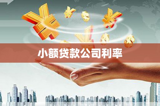 嘉祥小额贷款公司利率