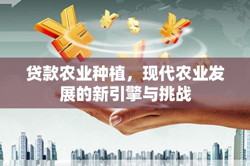 嘉祥贷款农业种植，现代农业发展的新引擎与挑战