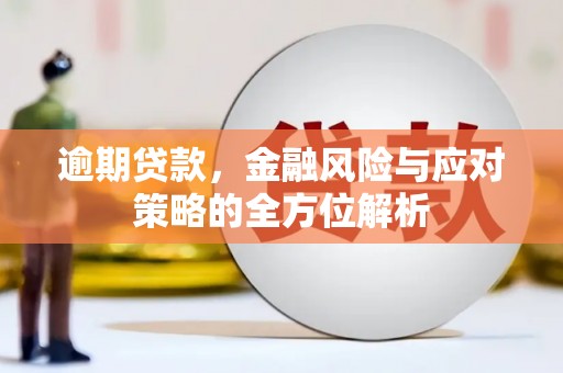 嘉祥逾期贷款，金融风险与应对策略的全方位解析
