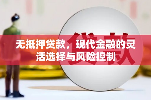 嘉祥无抵押贷款，现代金融的灵活选择与风险控制