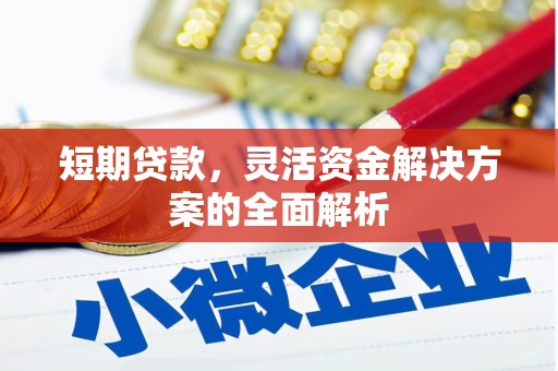 嘉祥短期贷款，灵活资金解决方案的全面解析