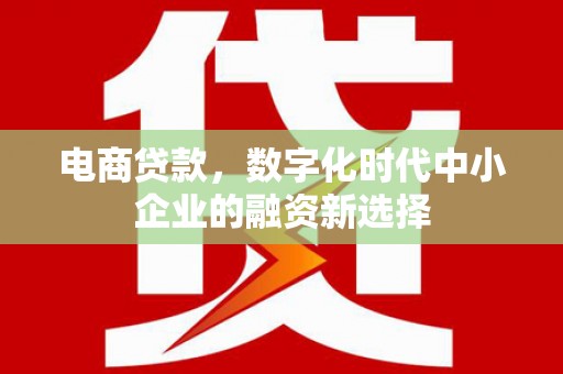 嘉祥电商贷款，数字化时代中小企业的融资新选择