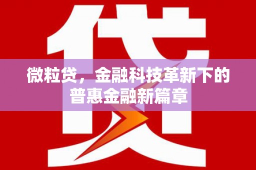 嘉祥微粒贷，金融科技革新下的普惠金融新篇章