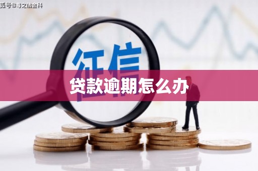 嘉祥贷款逾期怎么办