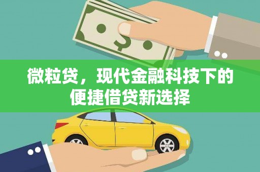 嘉祥微粒贷，现代金融科技下的便捷借贷新选择