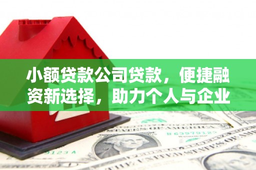 嘉祥小额贷款公司贷款，便捷融资新选择，助力个人与企业成长